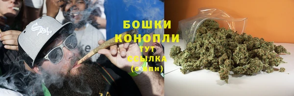 не бодяженный Бородино