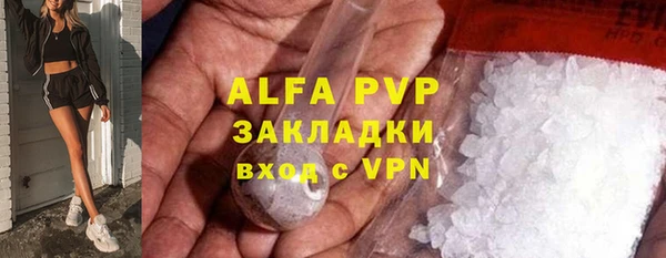 спиды Верея