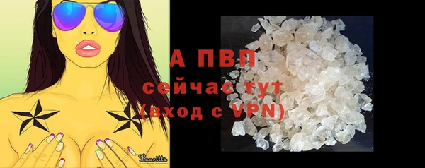 не бодяженный Бородино