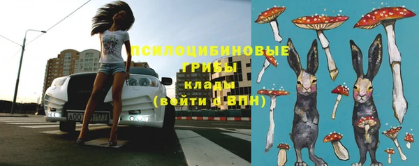 ПСИЛОЦИБИНОВЫЕ ГРИБЫ Бронницы